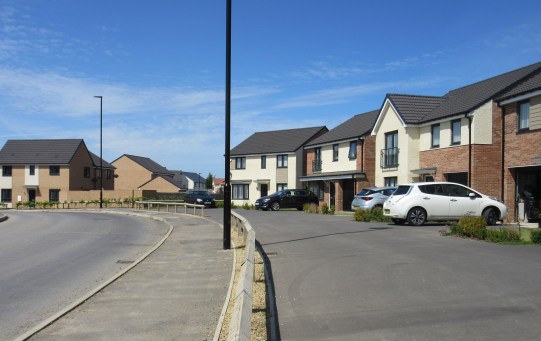 Character of the development cy